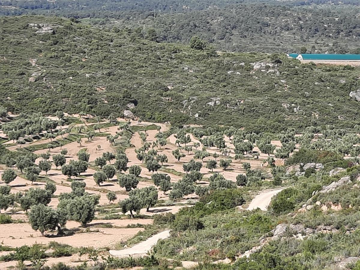 Campo Golden Heritage Maella المظهر الخارجي الصورة