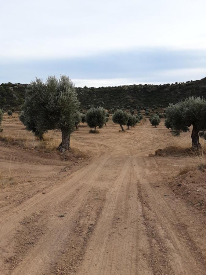 Campo Golden Heritage Maella المظهر الخارجي الصورة