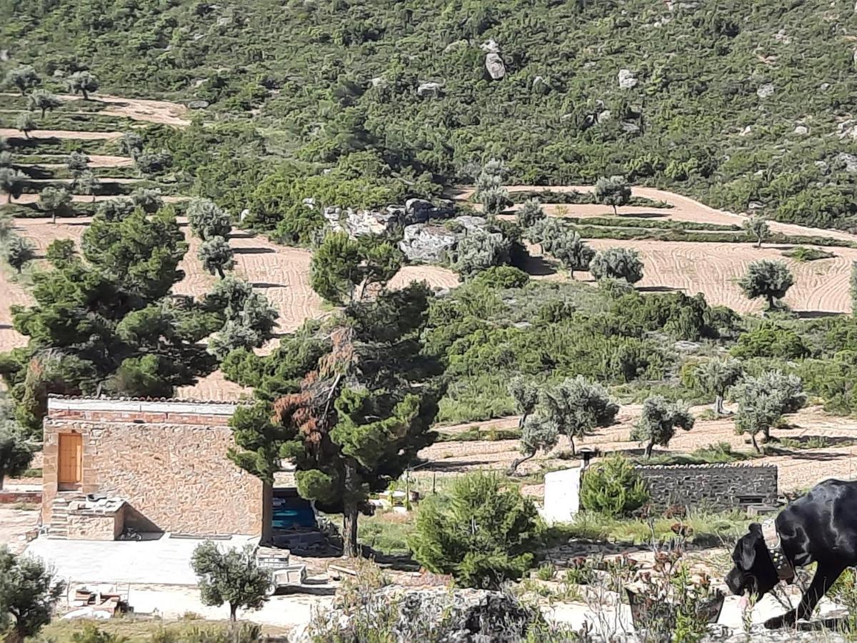 Campo Golden Heritage Maella المظهر الخارجي الصورة